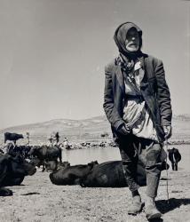 This is Israel, Robert Capa, 1948/49, gelatin silver print, Frame size:52.6×44.3cm Image size:24.1×20.5cm